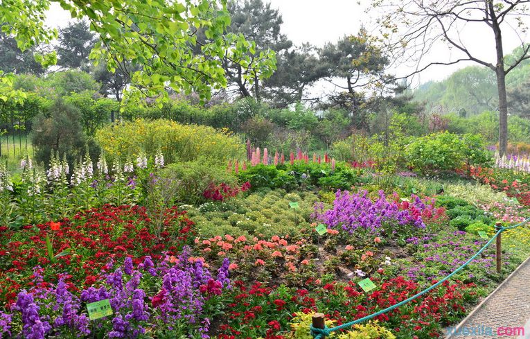 正大制管組織員工開(kāi)展五一春游活動(dòng) 正大制管組織員工開(kāi)展五一春游活動(dòng)